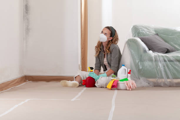 Reliable Commercial Mold Remediation contractor in Mitchells, VA by 24 Hour Mold Removal