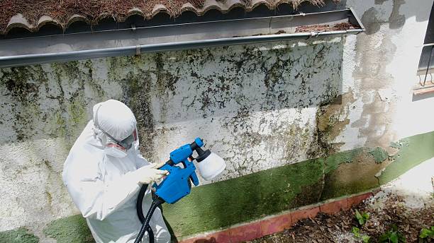 Top rated local Commercial Mold Remediation specialists in Mitchells, VA